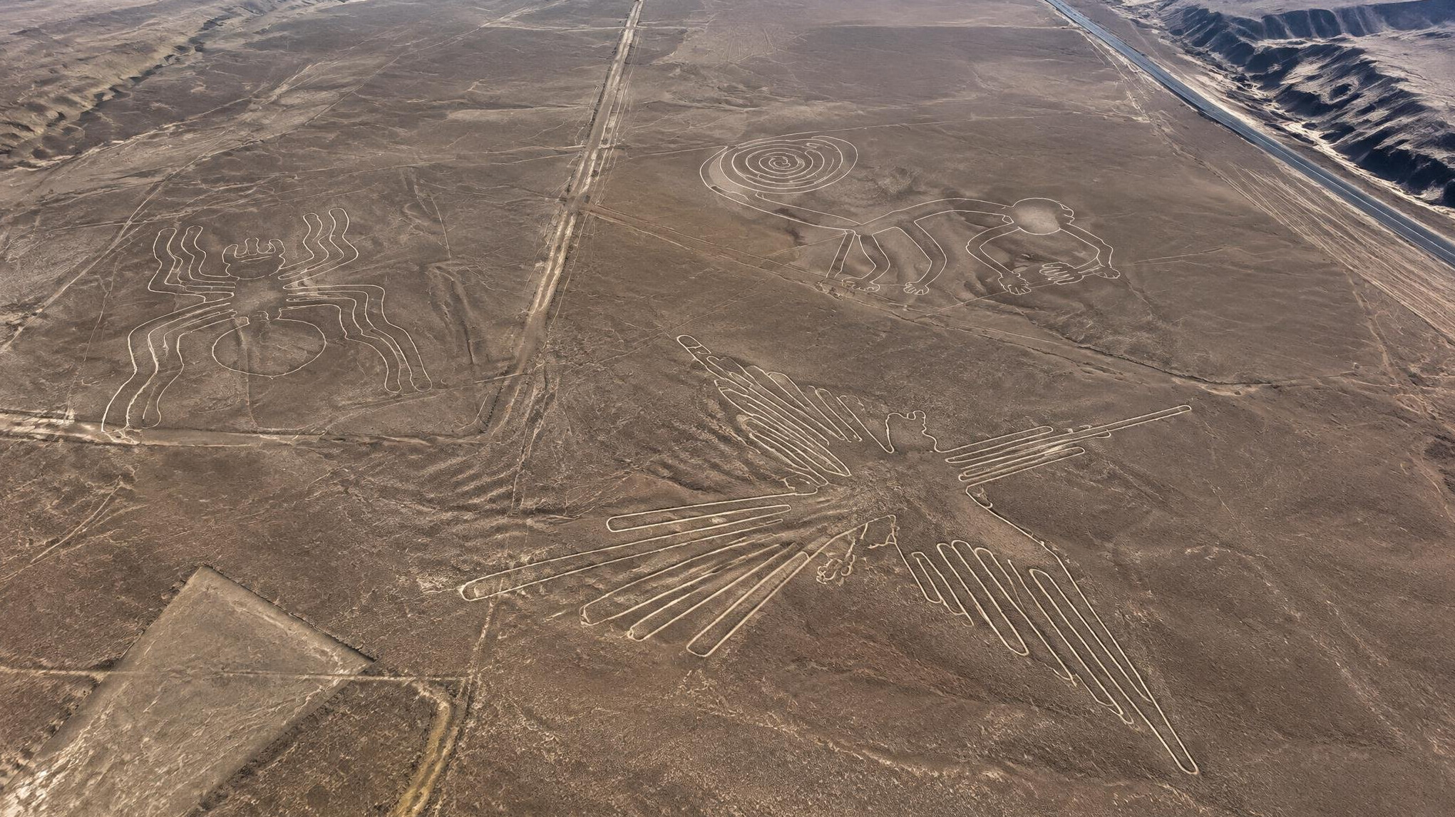 nazca lines desert aerial view