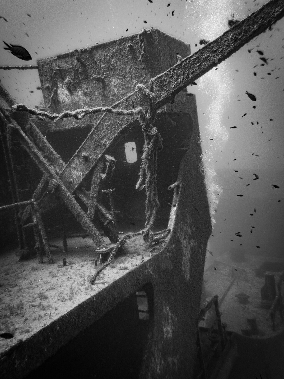 sunken shipwreck underwater