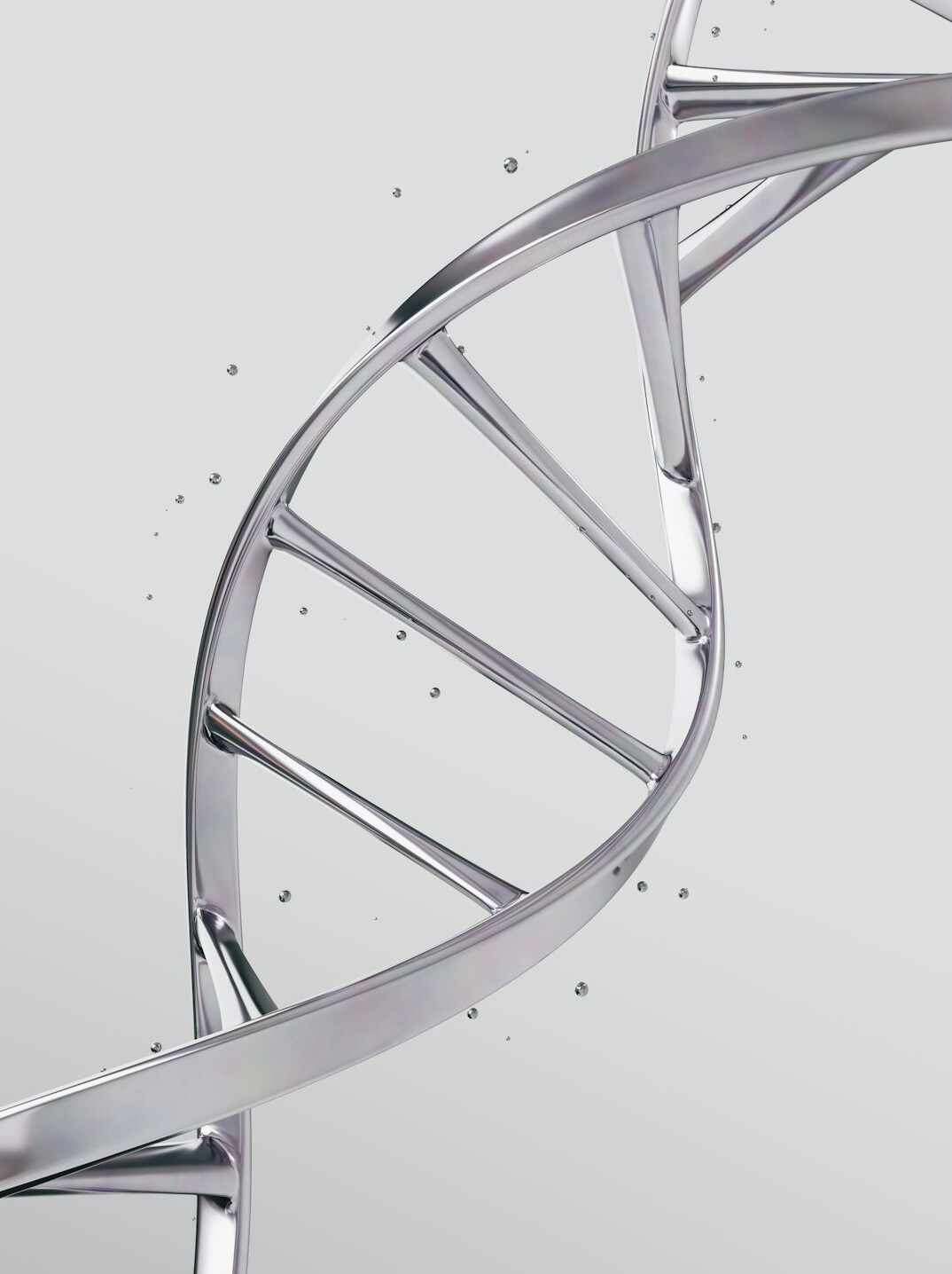 genealogy dna test